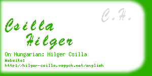 csilla hilger business card